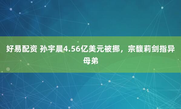 好易配资 孙宇晨4.56亿美元被挪，宗馥莉剑指异母弟