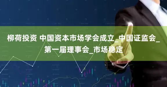 柳荷投资 中国资本市场学会成立_中国证监会_第一届理事会_市场稳定