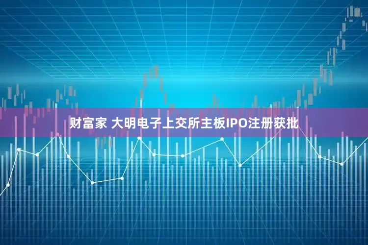财富家 大明电子上交所主板IPO注册获批