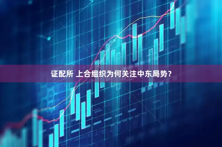 证配所 上合组织为何关注中东局势？