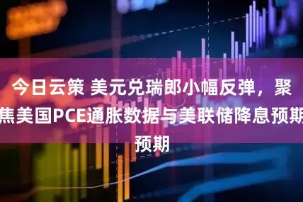 今日云策 美元兑瑞郎小幅反弹，聚焦美国PCE通胀数据与美联储降息预期