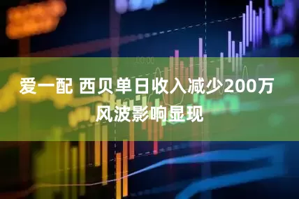 爱一配 西贝单日收入减少200万 风波影响显现